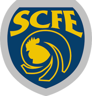Sampaio Corrêa RJ badge