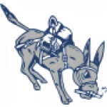 Colorado School of Mines Orediggers badge