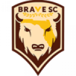 Brave badge