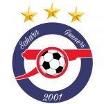 Sahara Gunners badge