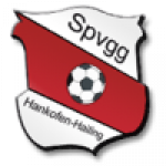 Hankofen-Hailing badge