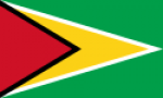 Guyana U-17 badge