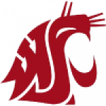 Washington State Cougars badge