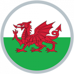Wales U-16 badge