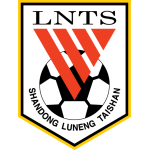 Shandong Taishan badge