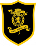 Livingston badge