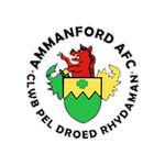 Ammanford badge