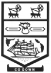 County Down U-14 badge