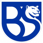 Brescia badge
