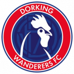 Dorking Wanderers badge