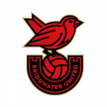 Bridgwater United WFC badge