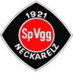 Neckarelz badge