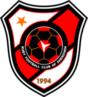 Shenzhen badge