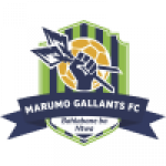 Marumo Gallants badge