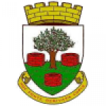 Wells City badge