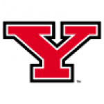 Youngstown State Penguins badge