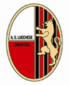 Lucchese badge