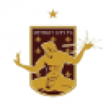 Detroit City badge
