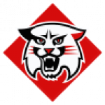 Davidson Wildcats badge