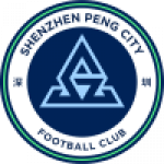Shenzhen Peng City badge
