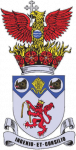 Irlam badge