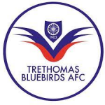 Trethomas Bluebirds badge