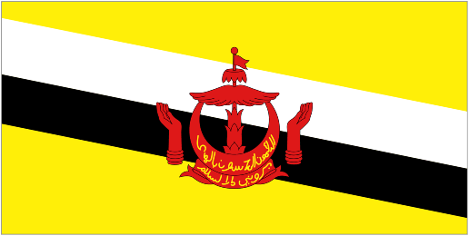 Brunei badge