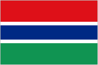Gambia badge