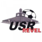 Revel badge