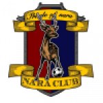 Nara Club badge