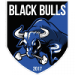 Black Bulls badge