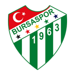 Bursaspor badge