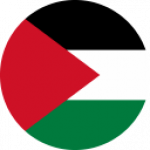 Palestine badge