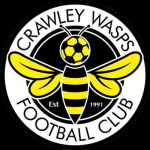 Crawley Wasps LFC badge