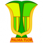 Atlético Palmaflor badge