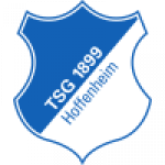 Hoffenheim U-23 badge