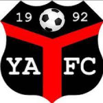 Ynyshir Albions badge
