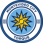 Torque badge