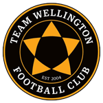 Team Wellington badge