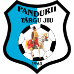 Pandurii Târgu Jiu badge