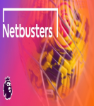 Netbusters badge
