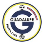 Guadalupe badge