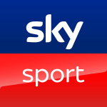 - SKY IT - badge
