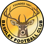 Bashley badge
