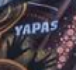 NT Yapas badge