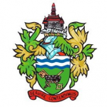 Chertsey Town badge
