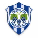 Tochigi City badge