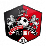 Fleury 91 badge