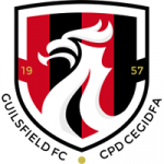 Guilsfield badge