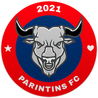 Parintins badge